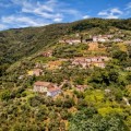 Brand new dog friendly romantic retreat on a hillside in Tuscany
